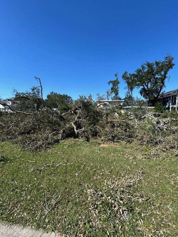 Downed tree branches and debris on a grassy area after Hurricane Isaias in Pensacola. — Pensacola Hurricane Isaias recovery