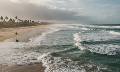 Waves crashing on a beach under cloudy skies, with palm trees in the background, reflecti — Tropical Cyclone Isaias update