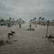 Severe flooding in a residential area with submerged cars and debris, heavy rain and strong winds — Pensacola flood watch